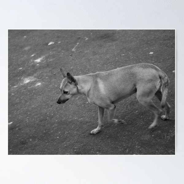 Item preview, small yellow dog in black and white designed and sold by felipequeiroz.