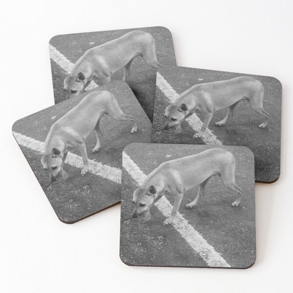 Item preview, black and white photograph of a small yellow dog stepping on a white stripe designed and sold by felipequeiroz.
