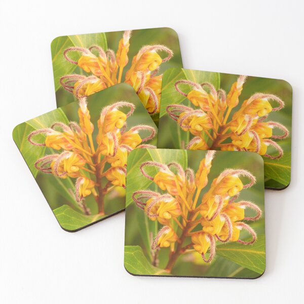 Item preview, Grevillea Arcs designed and sold by Esther Frieda.