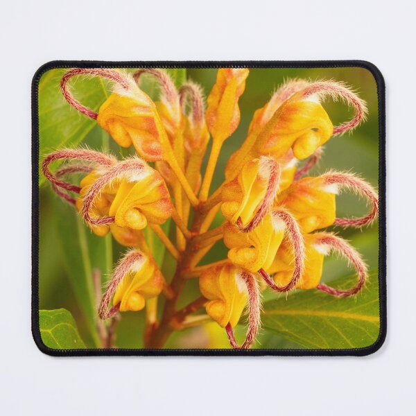 Item preview, Grevillea Arcs designed and sold by Esther Frieda.
