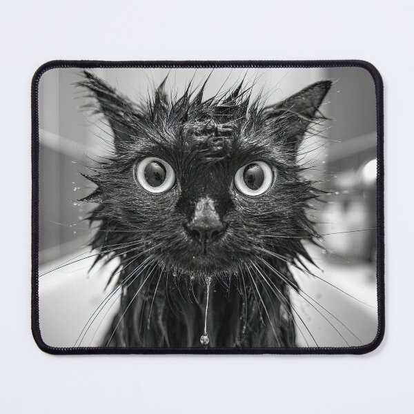 Item preview, Washing My Black Cat 01 designed and sold by Elisabeth Lucas.