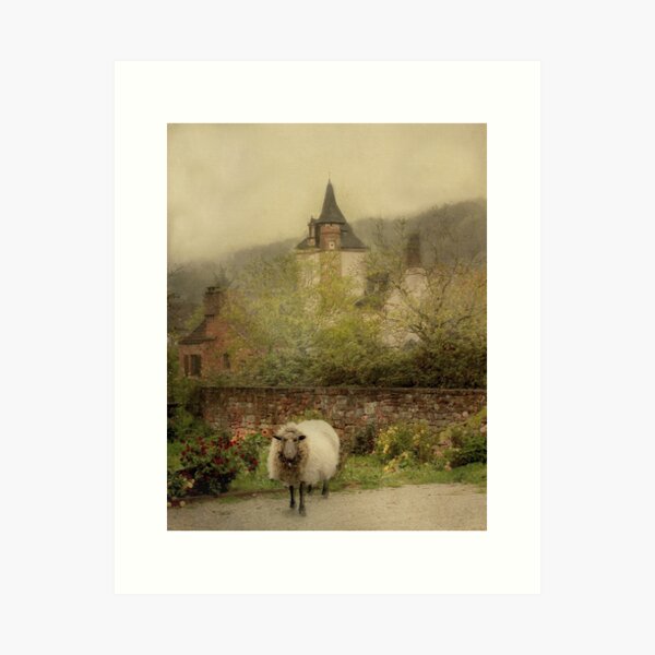Sheep In The Old Village Art Print