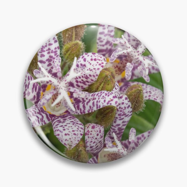 Item preview, purple spotty petals designed and sold by Esther Frieda.
