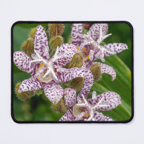 Item preview, purple spotty petals designed and sold by Esther Frieda.