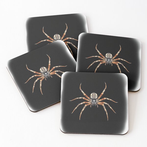 Item preview, Orb Weaver Elegance designed and sold by EllDAV777.