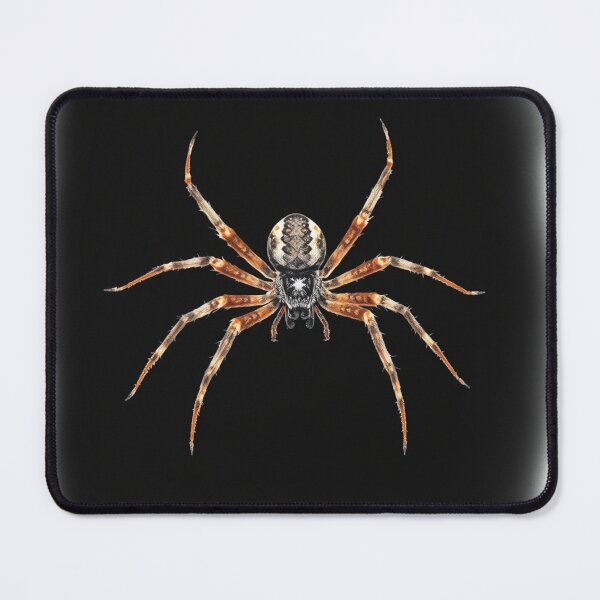 Item preview, Orb Weaver Elegance designed and sold by EllDAV777.