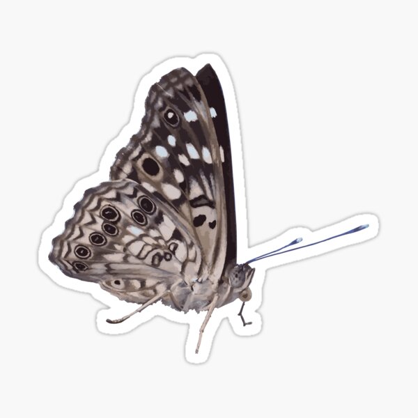 Item preview, Butterfly 2 designed and sold by TyBrockDesigns.