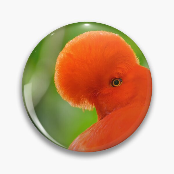 Item preview, Andean Cock-of-the-Rock designed and sold by Roger Mackertich.