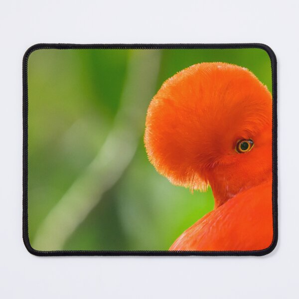 Item preview, Andean Cock-of-the-Rock designed and sold by Roger Mackertich.