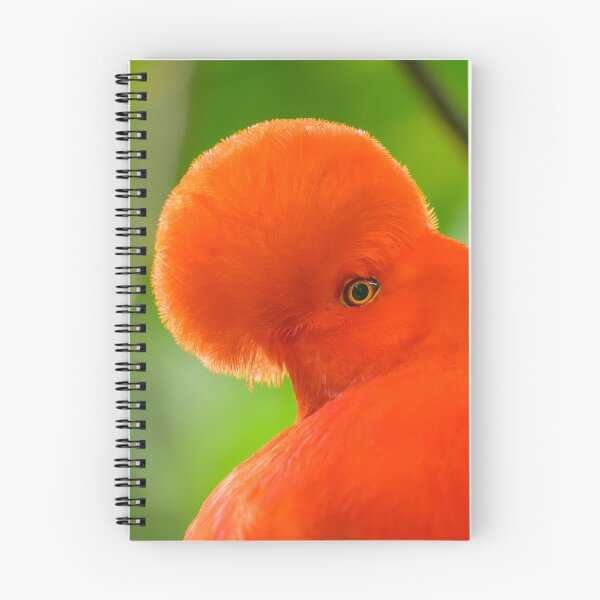 Item preview, Andean Cock-of-the-Rock designed and sold by Roger  Mackertich.