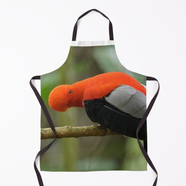 Item preview, Andean Cock-of-the-Rock 2 designed and sold by Roger Mackertich.