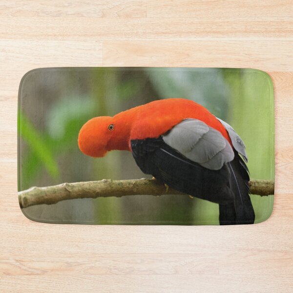 Item preview, Andean Cock-of-the-Rock 2 designed and sold by Roger Mackertich.