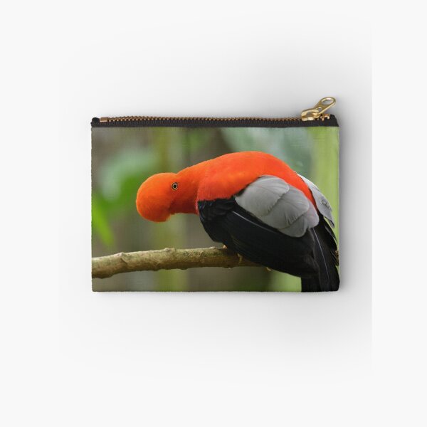 Item preview, Andean Cock-of-the-Rock 2 designed and sold by Roger  Mackertich.