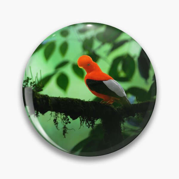 Item preview, Andean Cock-of-the-Rock designed and sold by Roger  Mackertich.