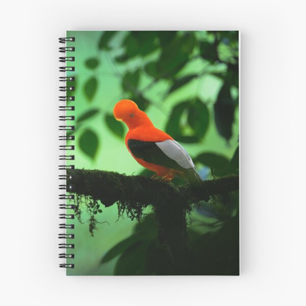 Item preview, Andean Cock-of-the-Rock designed and sold by Roger  Mackertich.