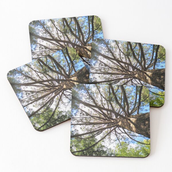 Item preview, Branching Out designed and sold by Yolanda Caporn Art.