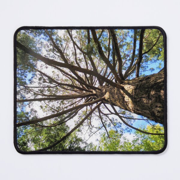 Item preview, Branching Out designed and sold by Yolanda Caporn Art.
