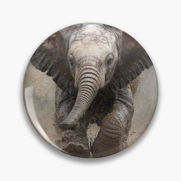 Item preview, Baby Elephant in Puddle designed and sold by Elisabeth Lucas.