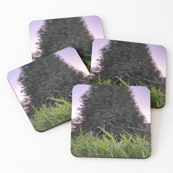 Item preview, Nature photography, tree and grass dipped in rainfall designed and sold by Taylorbrooke77.