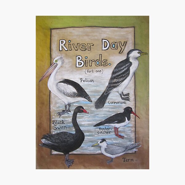 'River Day Birds' Photographic Print