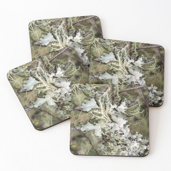 Item preview, Two times lichen designed and sold by Esther Frieda.