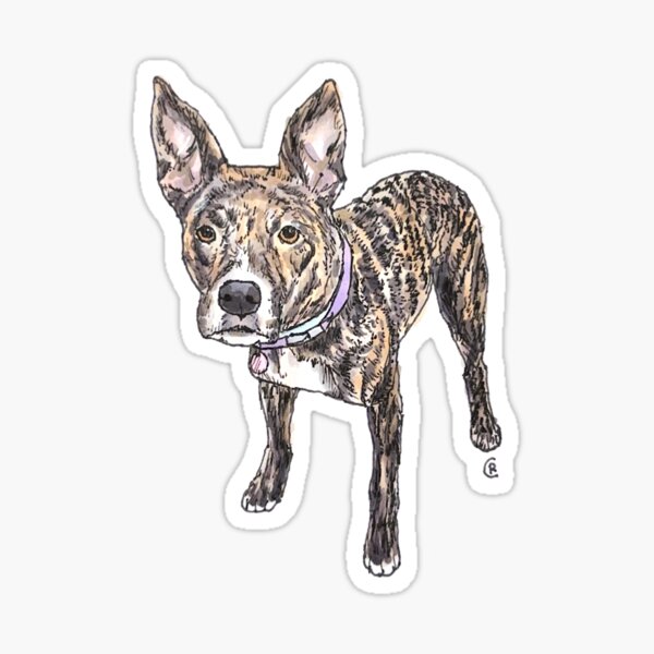 Item preview, Brindle Pup designed and sold by rita-andi.
