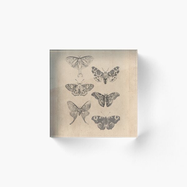 Aperçu de l'œuvre Papillons Vintage créée et vendue par CursorCollect.
