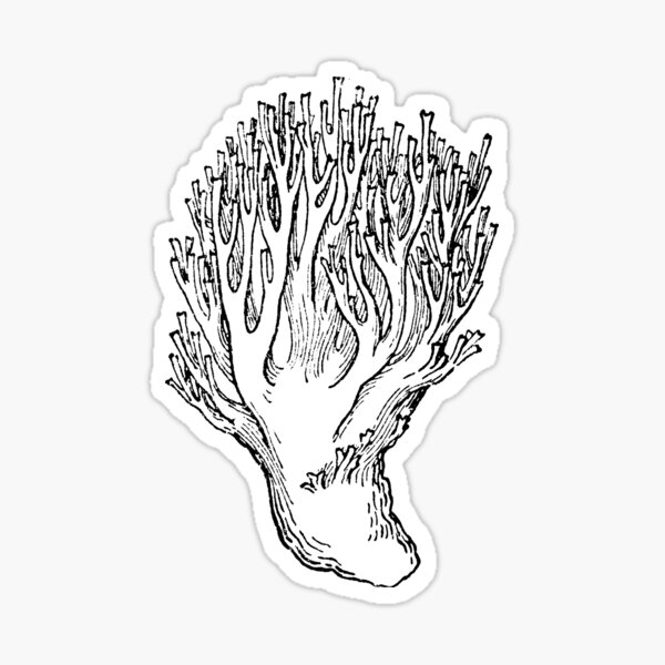 Item preview, Vintage Mushroom Line Art – Forager’s Fungi Illustration designed and sold by NorthernMan10.