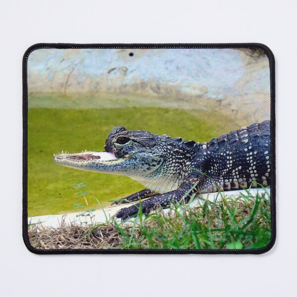 Item preview, Jaw-Lene (2025-08-02) (1) designed and sold by MercerImages.