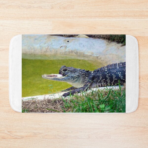 Item preview, Jaw-Lene (2025-08-02) (1) designed and sold by MercerImages.