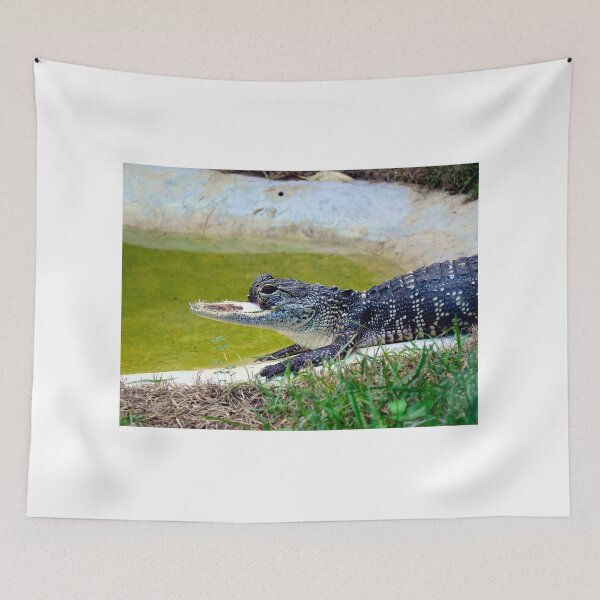 Item preview, Jaw-Lene (2025-08-02) (1) designed and sold by MercerImages.