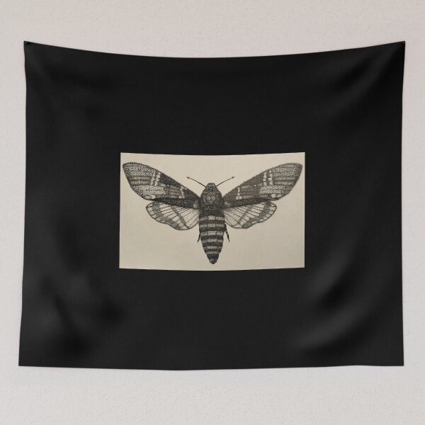 Item preview, Copy of Death’s head hawkmoth drawing, black backgrounds designed and sold by obrownwolf.