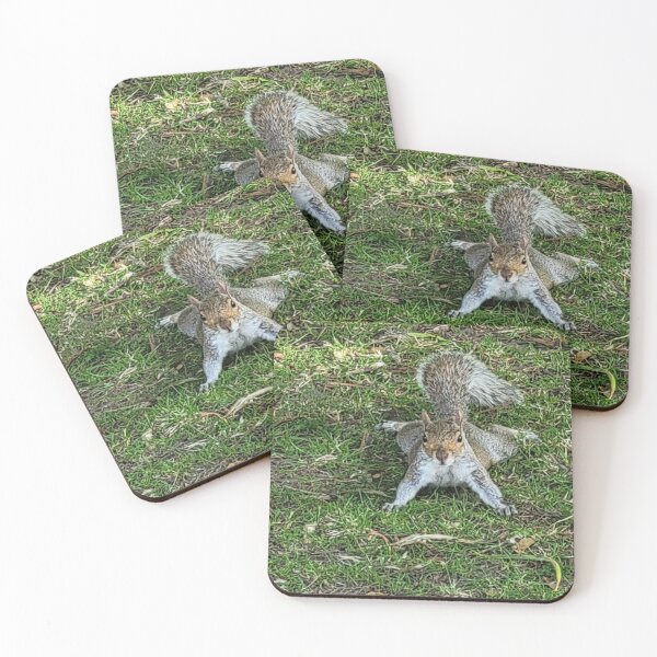 Item preview, Funny little flat squirrel designed and sold by CholiBe.