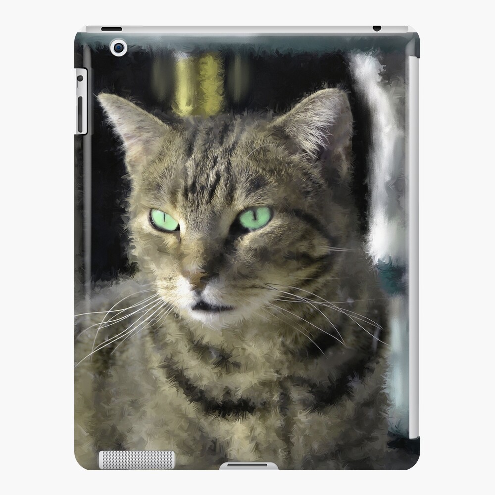 Window Shopping iPad Case & Skin