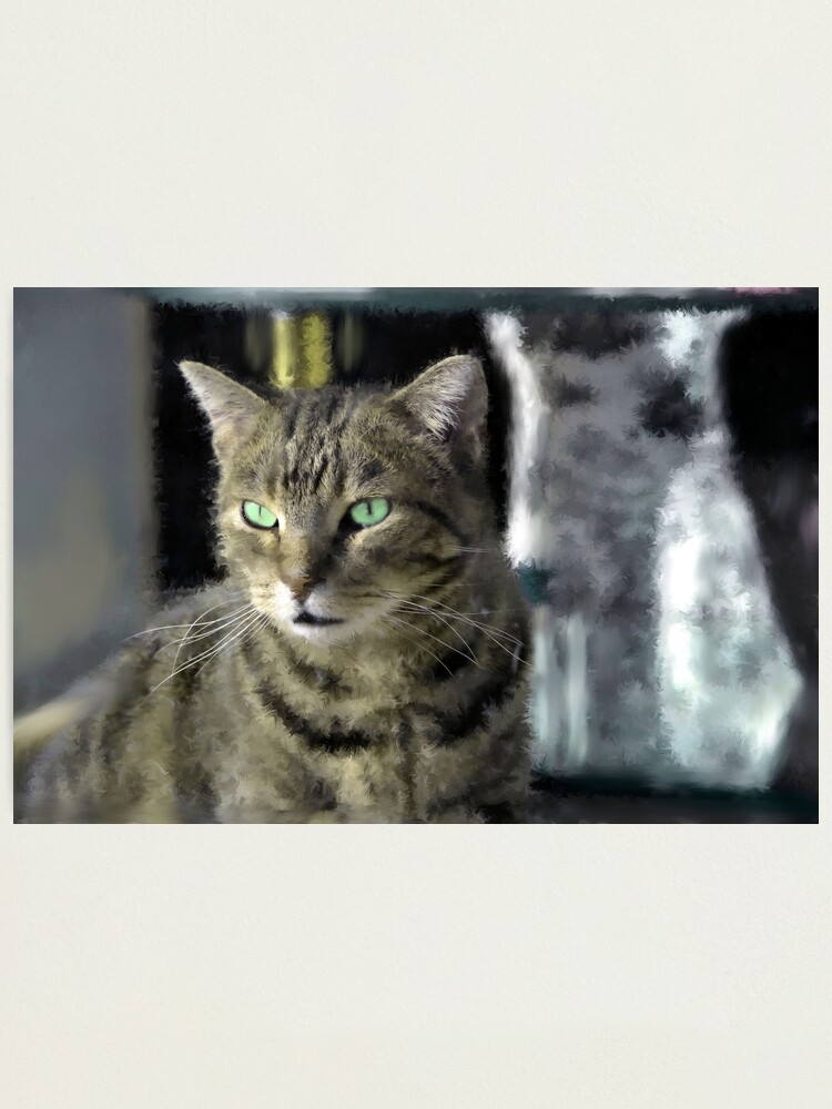 Alternate view of Window Shopping Photographic Print