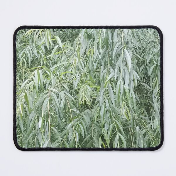 Item preview, Willow Leaves designed and sold by Photosinic.