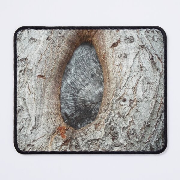 Item preview, Tree knot designed and sold by Photosinic.