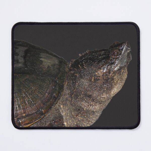 Item preview, Snapping Turtle designed and sold by Photosinic.