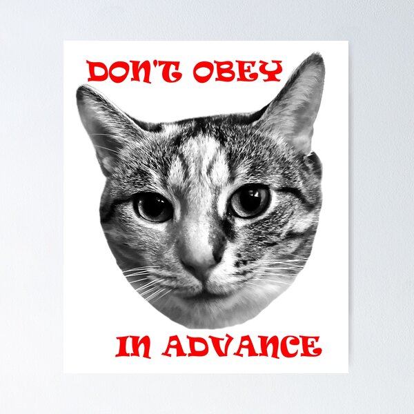 Item preview, Don't Obey In Advance designed and sold by Mildly Doomed & Reluctantly Awake.