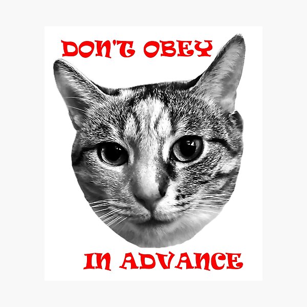 Item preview, Don't Obey In Advance designed and sold by Mildly Doomed & Reluctantly Awake.