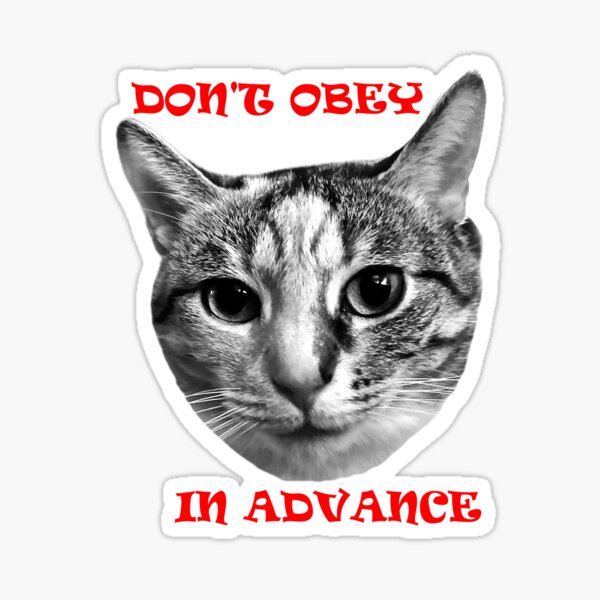Item preview, Don't Obey In Advance designed and sold by Mildly Doomed & Reluctantly Awake.