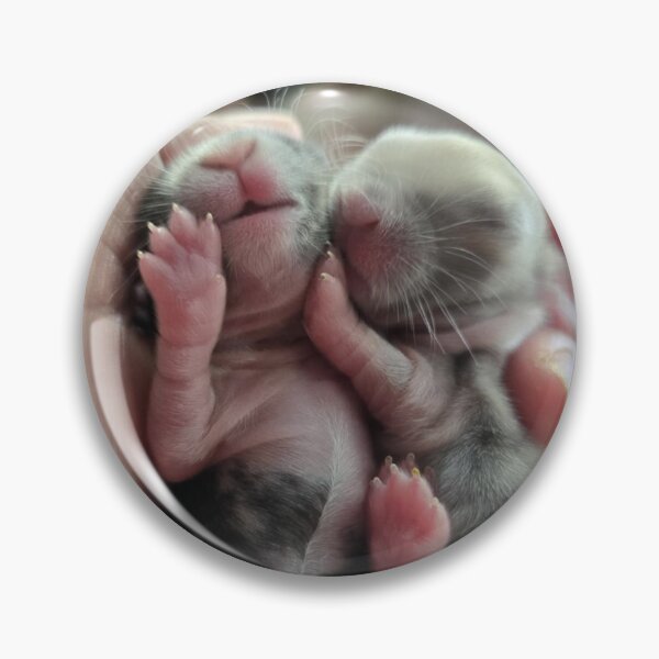 Item preview, Baby Bunnies from Little Buns Kitchen  designed and sold by BunnyBoos.