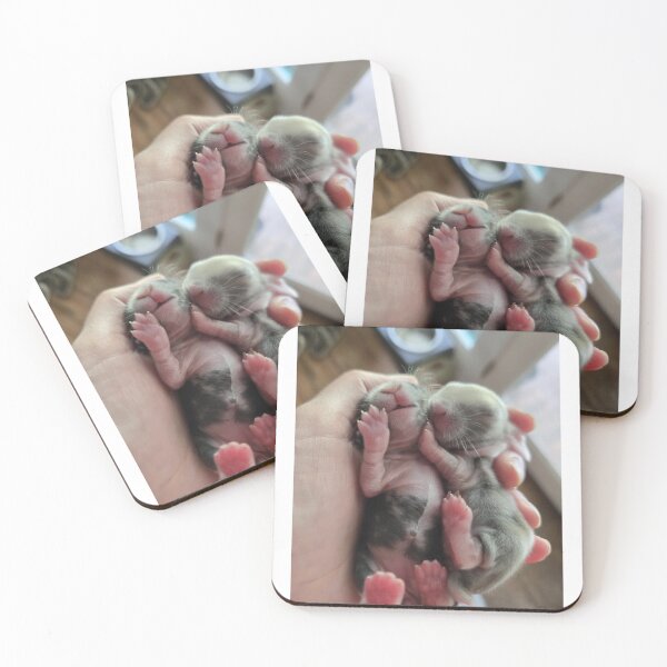 Item preview, Baby Bunnies from Little Buns Kitchen  designed and sold by BunnyBoos.