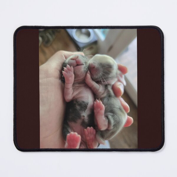 Item preview, Baby Bunnies from Little Buns Kitchen  designed and sold by BunnyBoos.