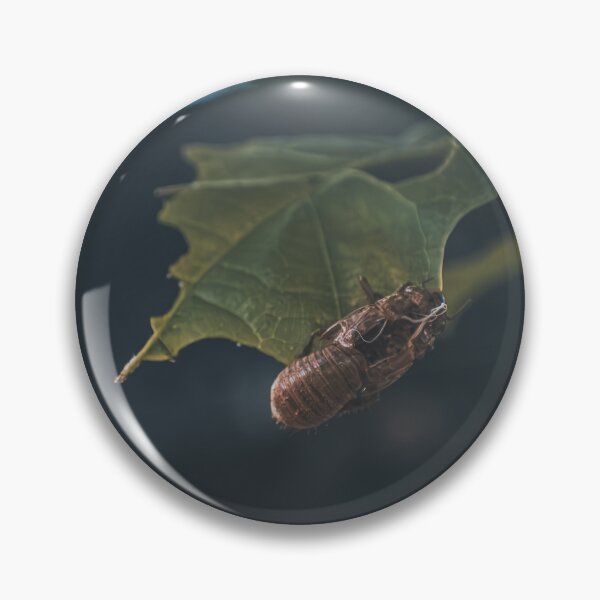 Item preview, Shell Of The Past designed and sold by Hazardous Dreams Media.