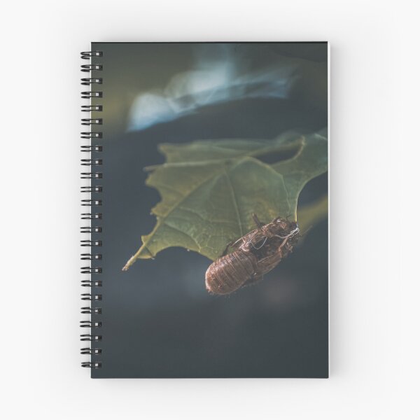 Item preview, Shell Of The Past designed and sold by Hazardous Dreams Media.