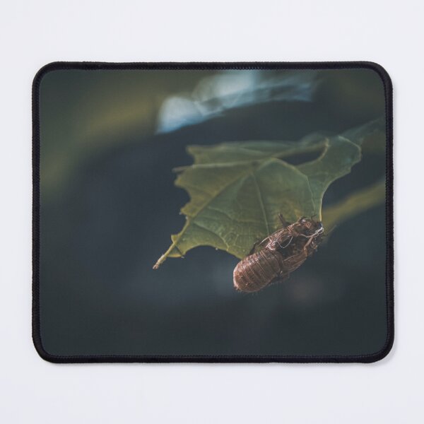 Item preview, Shell Of The Past designed and sold by Hazardous Dreams Media.