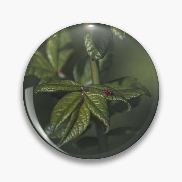 Item preview, Tiny-Red Riding Hood designed and sold by Hazardous Dreams Media.