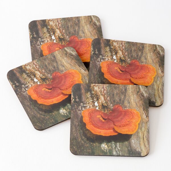 Item preview, Beautiful Tree Fungus designed and sold by heatherfriedman.