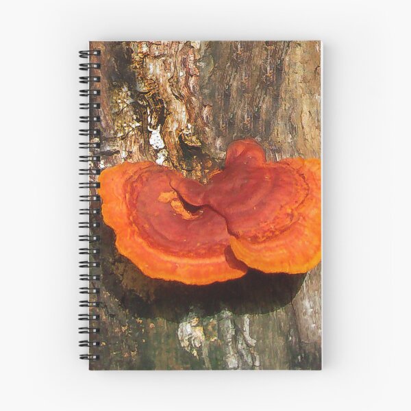 Item preview, Beautiful Tree Fungus designed and sold by heatherfriedman.